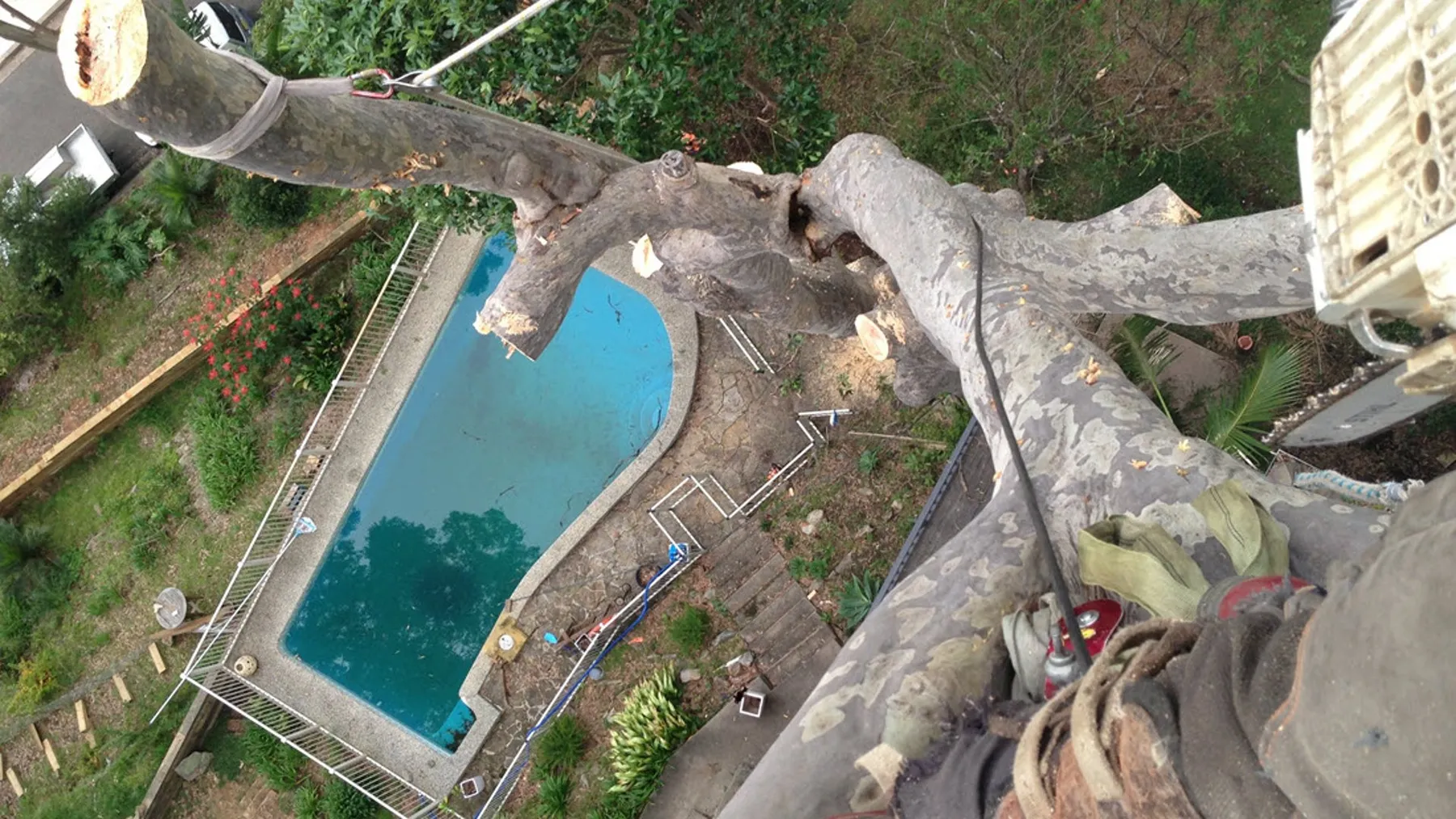 All Tree Care hero image